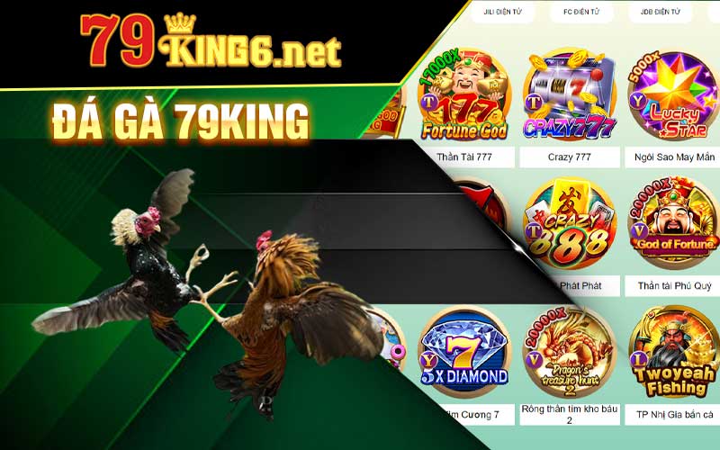 1-đá-gà-79king6